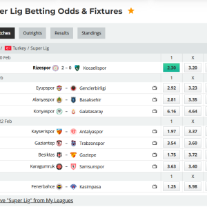 Comprehensive Mathematical Audit and Risk Assessment Report: Turkish Süper Lig Round 23 (Season 2025-2026)