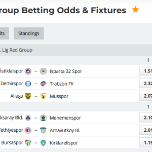 Analytical Report: Turkey 2. Lig Red Group – Round 24 (Season 2025-2026)